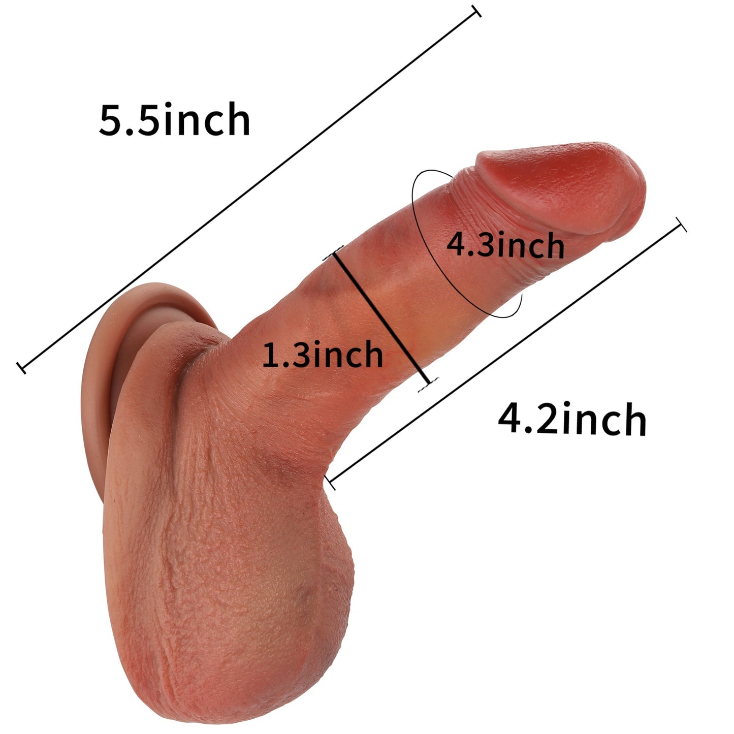 Pocky 5 inch Most Realistic Dildo Brown Skin Realman Dildo Position 3