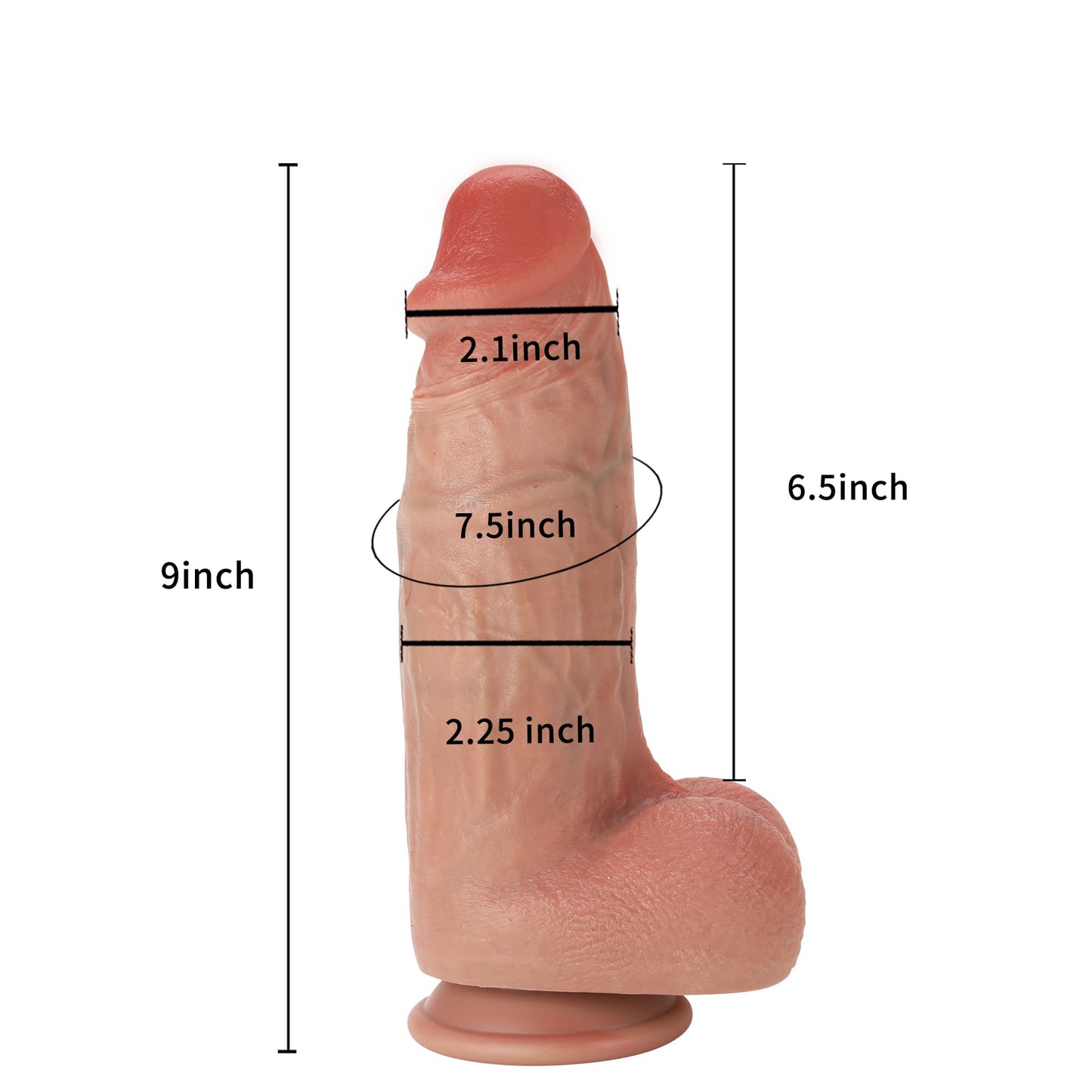 Dr Smash Most Realistic Dildo Girthy Super Huge Dildo Position 4